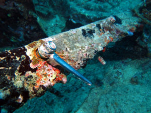 USS Tucker door handle (photo credit: Diveplanit)