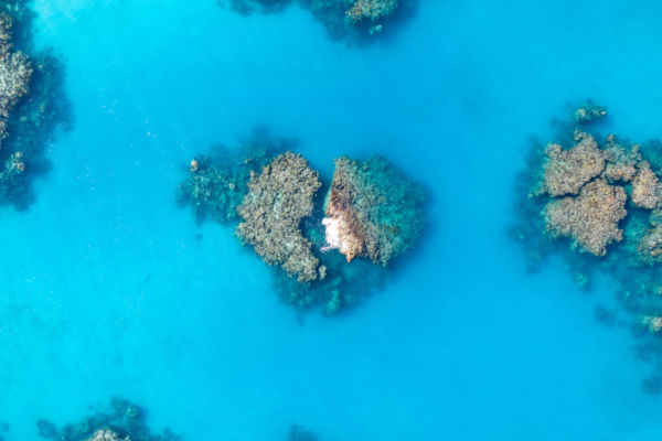 hurricane damaged reef