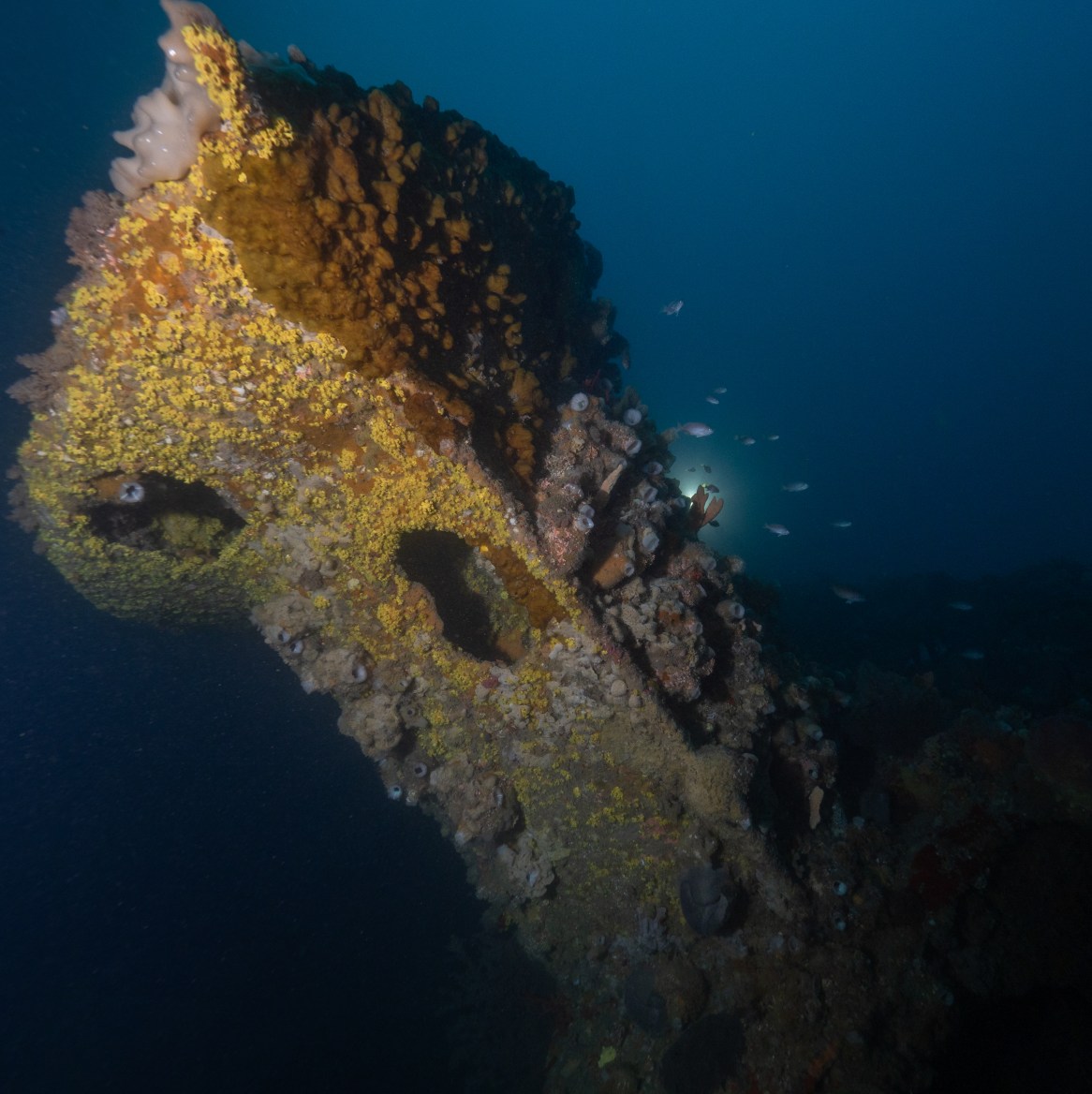 Wrecks