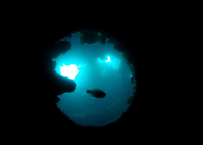 Wreck Diving in Coron